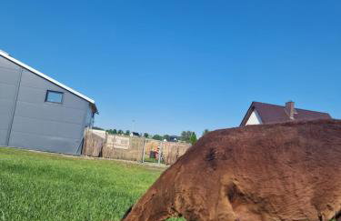 Agroturystyka Kaszuby Villagehome - Foto 69