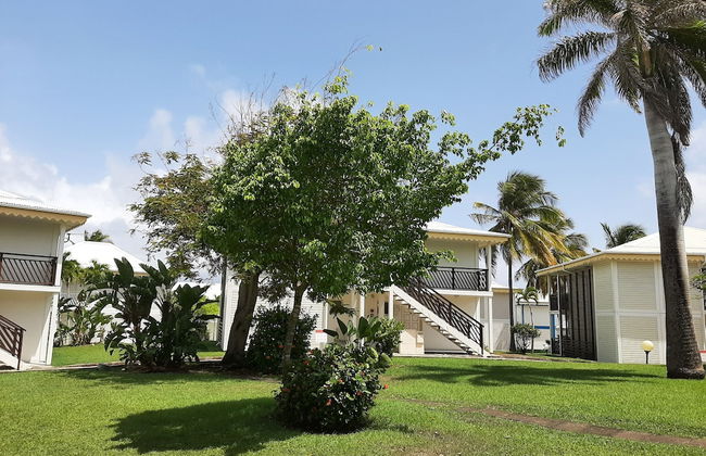 Kaz ananas passion - Photo 38