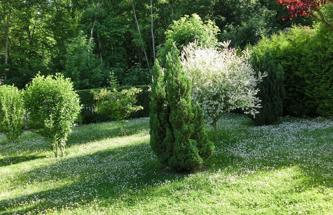 Group Hideaway With Pool - Foto 46