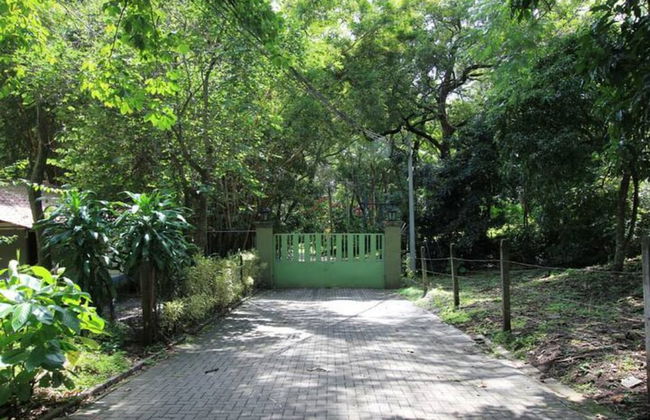 Relaxing Sound of River Birds Squirrels - Foto 31