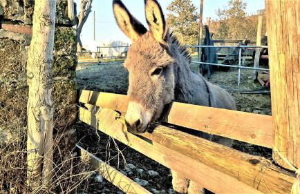 Umbrian Farmhouse Retreat With Private Pool and Garden - Foto 64
