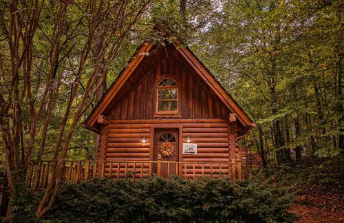 Ivy Cottage Cute Cottage Along The Ocoee River - Foto 1