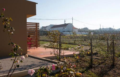 Entre Vinhas & Mar - Foto 85