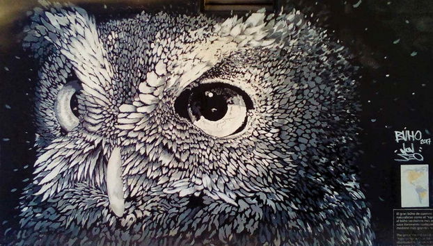 Tour por Coghlan - Foto 2