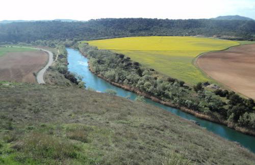 El Horno de Leopoldo - Foto 37