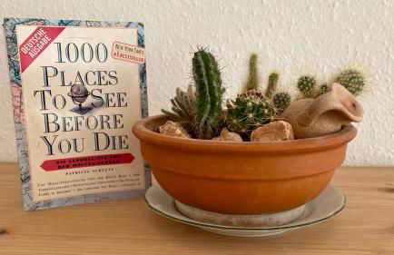 Ferienapartment Casa Heideblick mit Sonnenterrasse & Garten - Foto 6