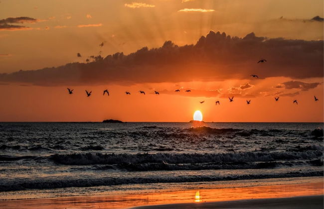 Big Hillside Villa in Potrero With Pool and Panoramic Ocean Views - Photo 37