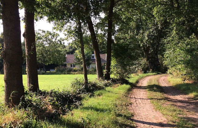 Family Residence With Large Garden - Foto 38