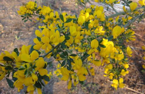 Villa Saline - Foto 68