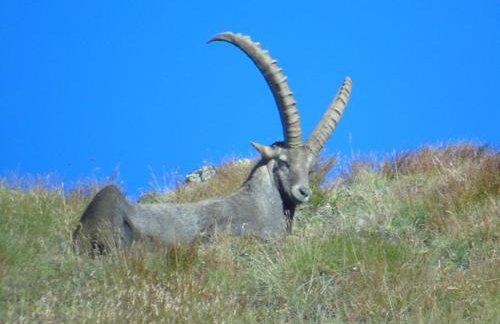 Appartamenti Mosconi Mistica - Foto 43