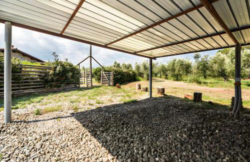 Agriturismo Il Giglio di Sant' Antonio - Foto 24