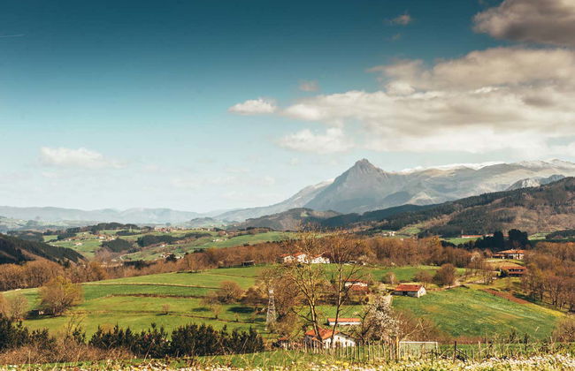 Visita a uma fábrica de sidra basca - Foto 4