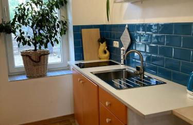 Little Fine Apartment close to Leipzig - Foto 18