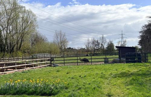 Peacock Barn - Photo 14