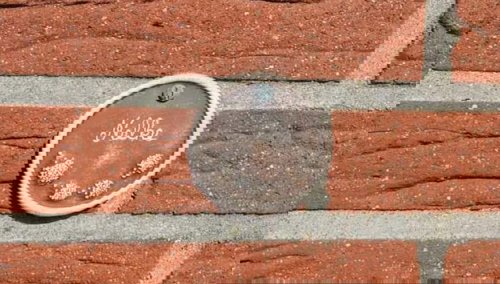 Visser 2 Modern Retreat - Foto 1, Imagen principal