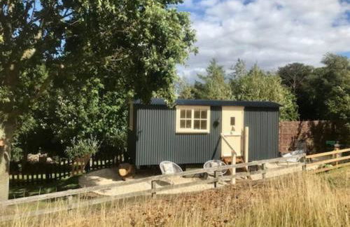 The Humble Hut - Photo 44