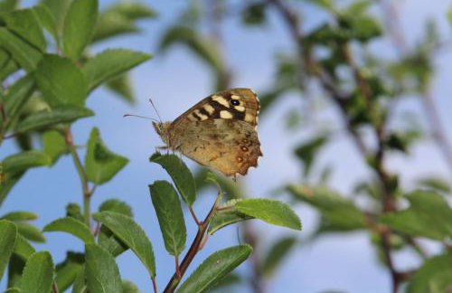 Entire flat 2 to 4 pers 1 bed 1 bath disabled access for limited disability - Foto 40