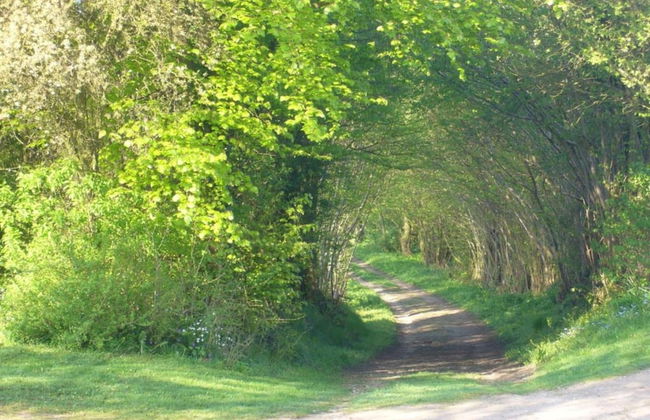 Historic Apartment in Gerdshagen With Garden - Foto 80