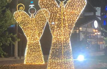 Chalé Centro de Monte Verde - Foto 76