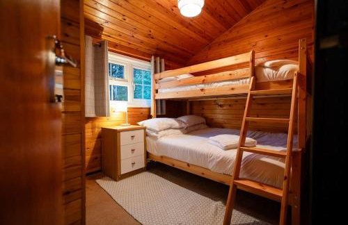 Rural Log Cabin in Snowdonia near Coed y Brenin by Seren Short Stays - Foto 30