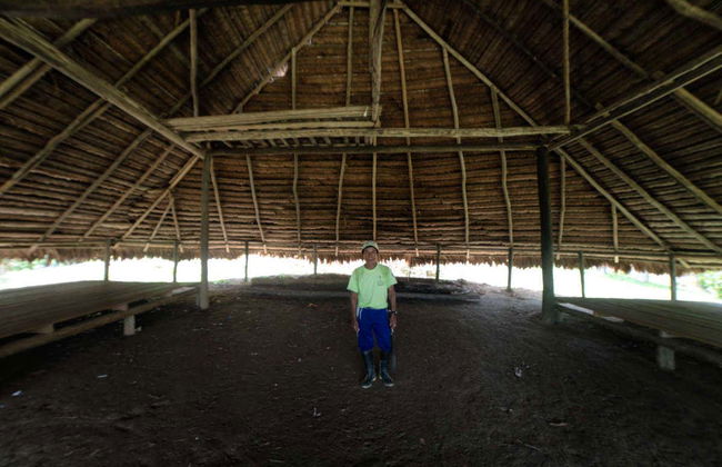 Senderismo por el Parque Natural Amacayacu - Foto 6