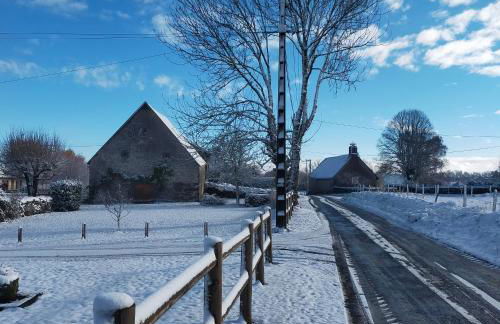 Les MILANS - Photo 37