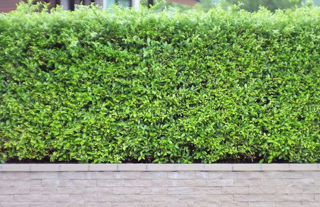 Monlada Khaoyai - Foto 59