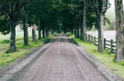 The Log House at Sugarloaf Mountain MD - Foto 47