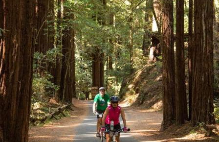 Russian River Bungalow - Foto 37