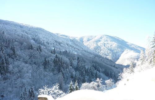 Maso La Marianna - Foto 23