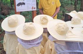 Dolina Miodu - Agro Kaszuby, Sauna, Balia - Foto 35