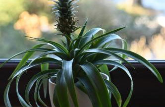 Apartment im Bellerbektal - Foto 57