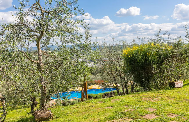 Poggio all'Aia - Foto 62