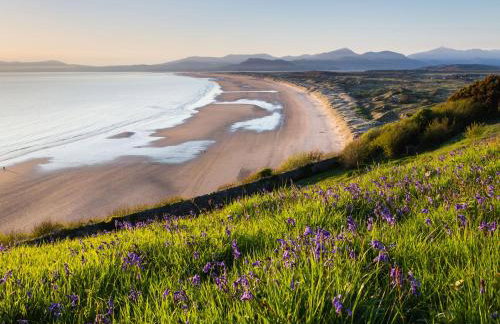 Moelwyn View Cottage - Foto 23