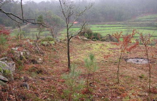 Quinta Porto dos Lobos - Foto 48