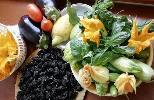 Panoramico, in villa, grande, con ampie terrazze - Foto 42