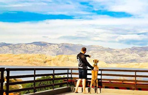 Mila's pet friendly holiday house with private beach place and sunbeds included - Photo 23