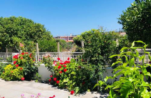 Lemon tree's house - Foto 38