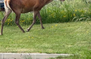 la terrasse du belvédère - Foto 28