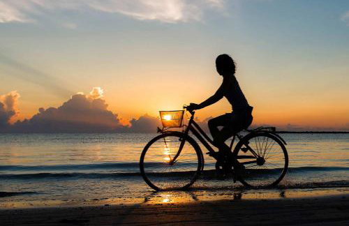 FeHa Windspiel - Foto 26