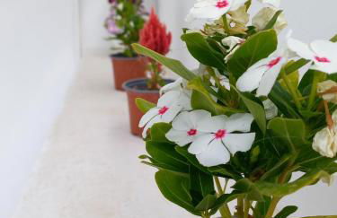 Granny's Home ,mini villa for 4 - Foto 52