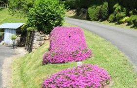 Gîte de France à Lissac sur Couze 3 épis - Gîte de France 4 personnes MAE-6524 - Foto 10