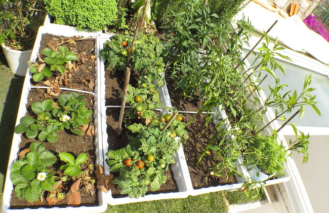 8 Oda Boutique Homes - Photo 69