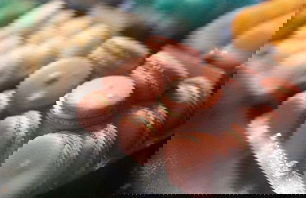 San Diego Food Tour - Foto 7