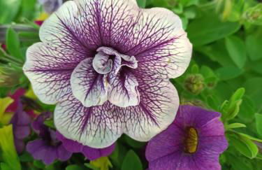 Welcome in Toscana - Foto 70