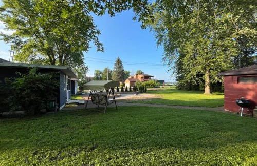 The little blue jay - Foto 14