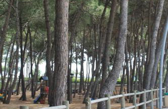 Alba sul Mare - Foto 31