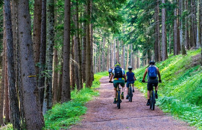 Spacious Stay With Terrace - Foto 55