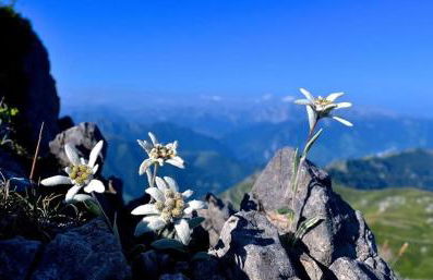 Bel appartement T2 refait à neuf avec piscine couverte de juin à fin septembre, près des stations de ski avec navette et draps et serviettes compris - Foto 47