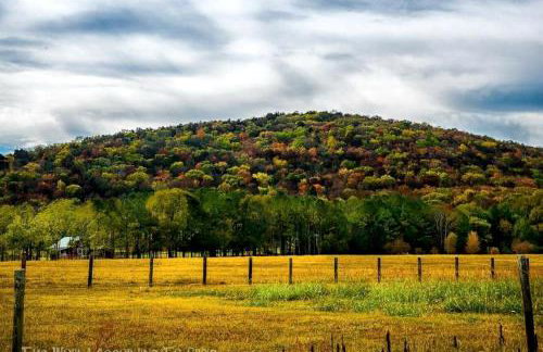 Gorgeous Tiny House with Indoor and Outdoor Lounging Space in Alabama - Foto 58